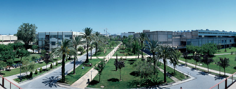 Universidad Politécnica de Valencia